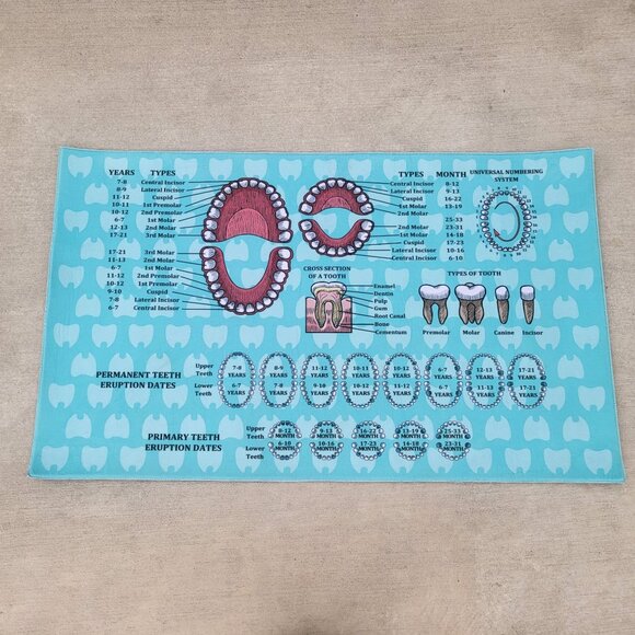 Orthodontist Chart Area Rug Dentist Mat - Picture 1 of 13